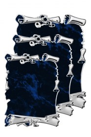 Plachete Aluminiu PG  013